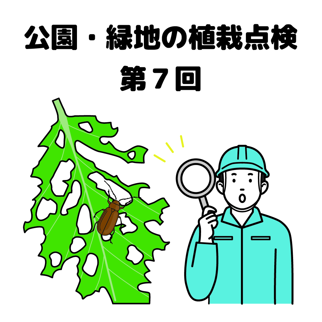 街の樹木NewsLetter Vol.19　5月号　公園・樹木の植栽点検シリーズ第7回－樹⽊の安全点検−倒⽊や落枝の危険を発⾒しよう！ その４−虫害